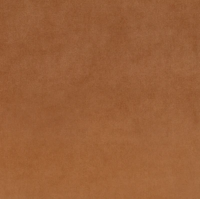 7571-05 Lenis - Roasted Carrot Swatch