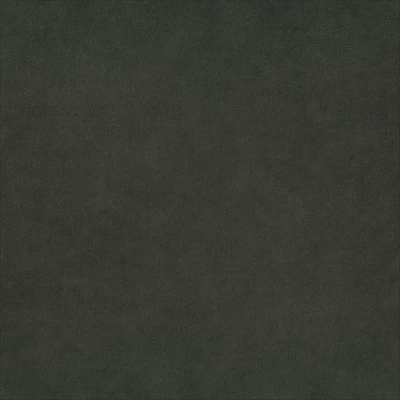 7571-10 Lenis - Noble Nightingale Swatch