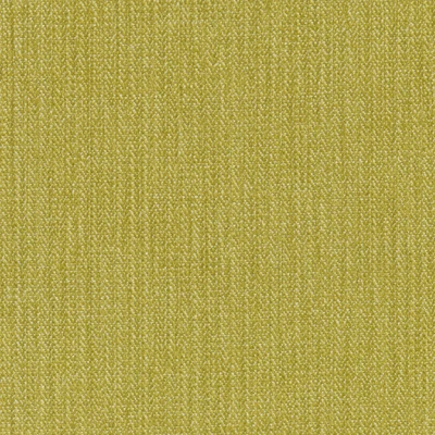 1239-08 Cabana - Pear Swatch