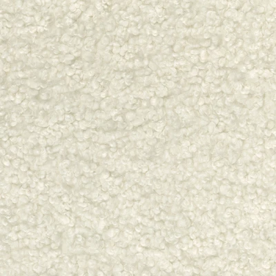 8581-01 Cheviot - Winter White Swatch