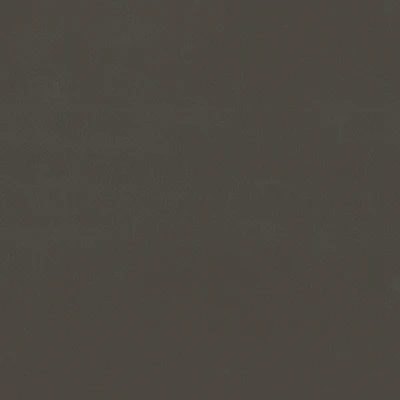 9414-22 Landscape - Moleskin Swatch