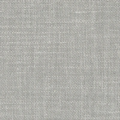 9644-01 Calais - Platinum Swatch