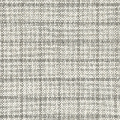 9646-01 Seine - Platinum Swatch