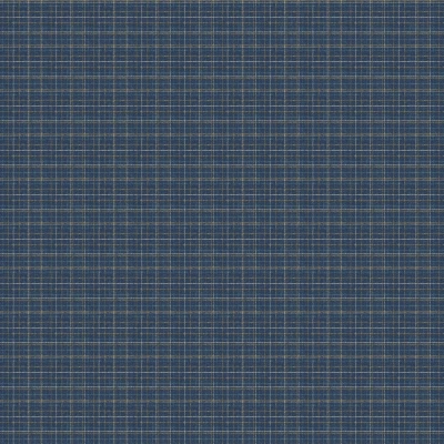 9649-13 Scene - Blueprint Full Repeat