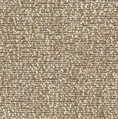 9660-04 Pappus - Golden Jackal Swatch