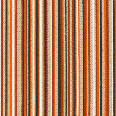 1253-06 Archie - Red Panda Swatch