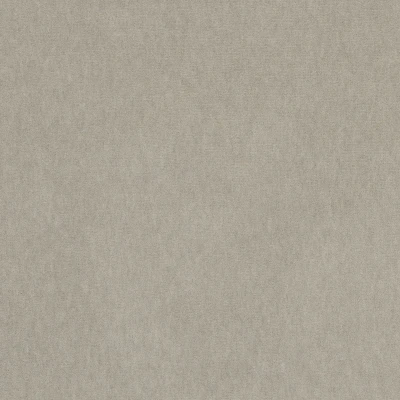 4236-02 Basal - Chinchilla Swatch 