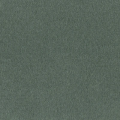 4236-04 Basal - Weathered Teal Swatch