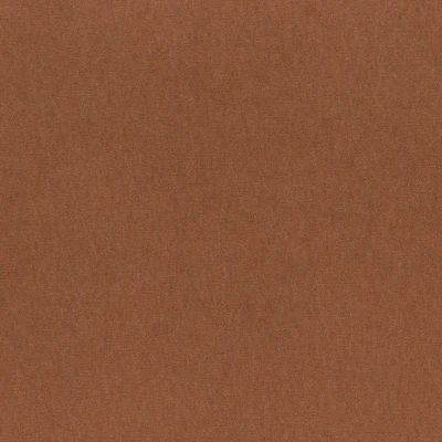 4236-05 Basal - Honey Sriracha Swatch