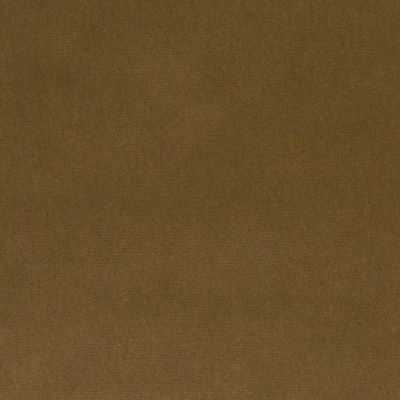 4236-07 Basal - Raw Amber Swatch