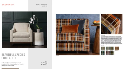 Beautiful Species Lookbook