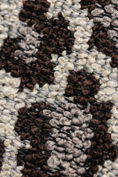 2327-02 Rosette Spotted Xolo Hero Image