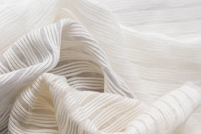 3110 Circadian White Silkie, Mont Blanc, Coquito Hero Image