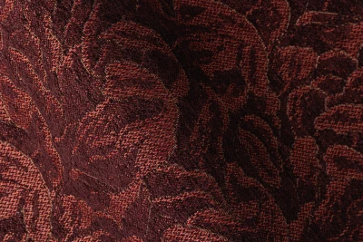 4355-08 Daylily - Chipotle Pepper Hero Image