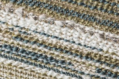 5015-02 Celosia Mizeria Hero Image