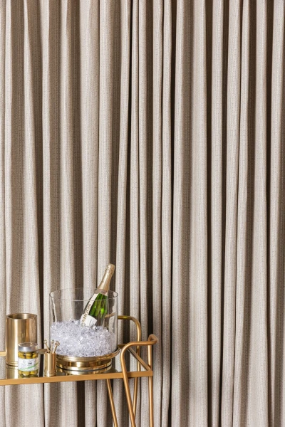 5390-04 Tycho Mountain Lion Installation Image