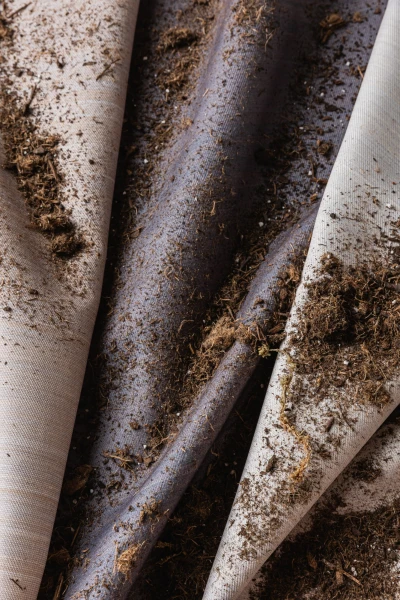 7552 Winslet Apple Cider, Saturn, Orionids, Mother of Pearl Hero Image