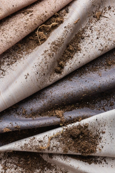 7552 Winslet Apple Cider, Saturn, Orionids, Mother of Pearl Hero Image