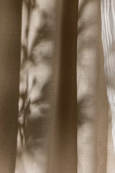 7555 Altair Sand Dollar, Buttermlik, 3110 Circadian Coquito Hero Image