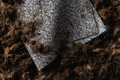 8390 Ajax Blue Glaucus Hero Image