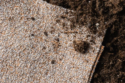 8390 Ajax Ginger Tahini Hero Image