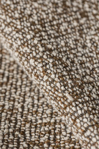 9660-04 Pappus Golden Jackal Hero Image