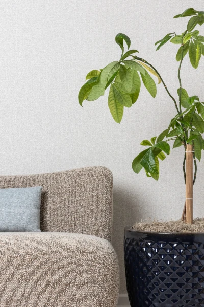 9660-04 Pappus Golden Jackal Installation Image