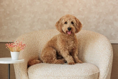 V103-03 Hikaru - Himalayan Salt, V100-10 Chateau - Quail, 7305-02 Chord Cheesecake Installation Image