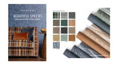 Beautiful Species Contract Brochure