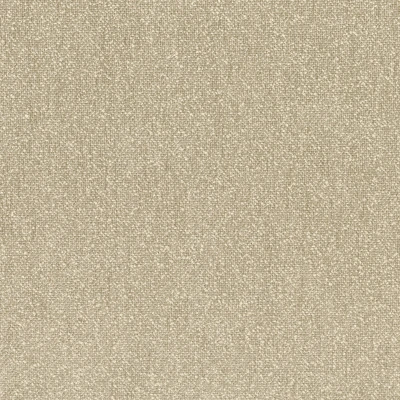 8583-04 Clement - Sand Dollar Swatch