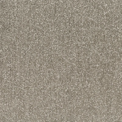 8583-06 Clement - Rocky Foothills Swatch
