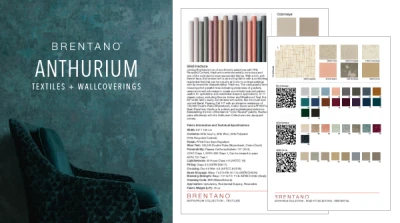 Anthurium Collection Guide 