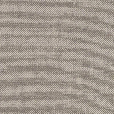 4319-05 Notes - Pale Grape Swatch