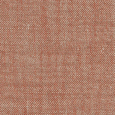 4319-07 Notes - Tiger Lily Swatch