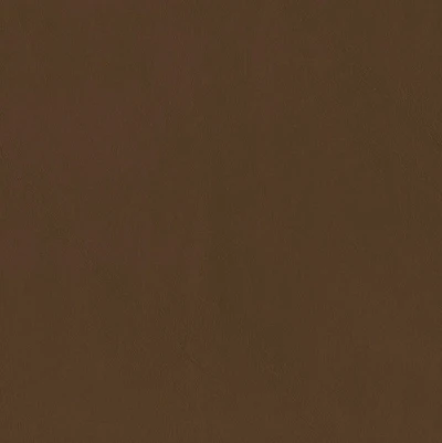 4242-09 Daphnis - Walnut Swatch 