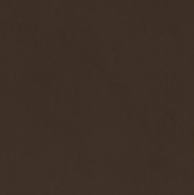 4242-10 Daphnis - Stallion Swatch 