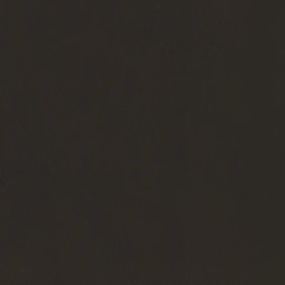 4242-11 Daphnis - Black Lacquer Swatch