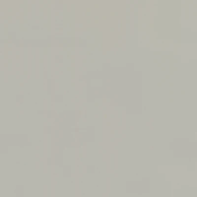 6815-04 Journal - Putty Swatch