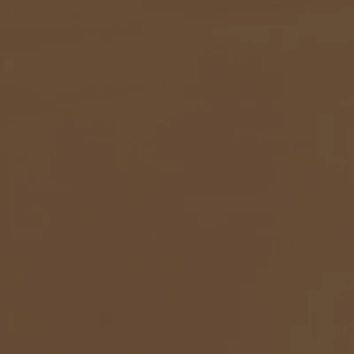 6815-07 Journal - Sienna Clay Swatch