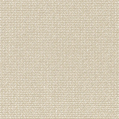 3202-02  First Edition - Toasted Coconut Swatch