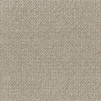 3202-03 First Edition - Scottish Deerhound Swatch