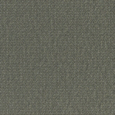 3202-06 First Edition - Balsam Fir Swatch