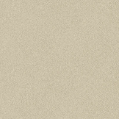 3993-02 Galapagos - Cannellini Swatch