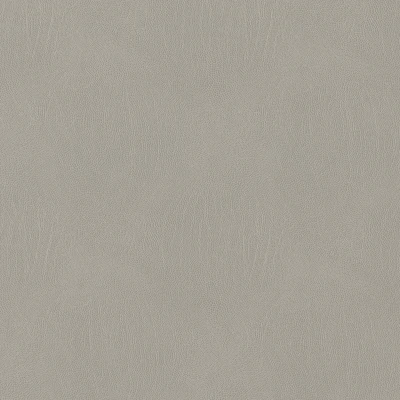 3993-03 Galapagos - Blush Grey Swatch