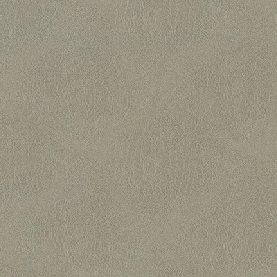 3993-05 Galapagos - Wood Ash Swatch