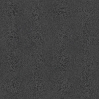 3993-10 Galapagos - Graphite Swatch