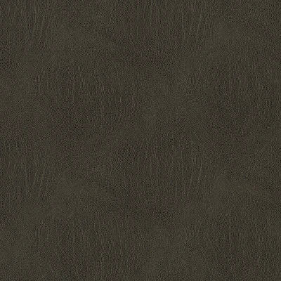 3993-12 Galapagos - Pumpernickel Swatch