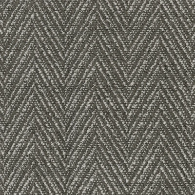 9665-07 Gazette - Grey Civet Swatch