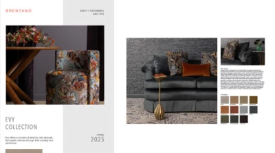 Evy Collection Lookbook