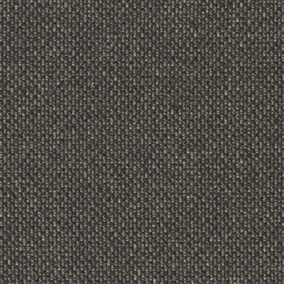 8935-05 Manuscript - Tortie Cat Swatch